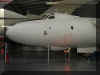 BR-280513-COS-4.jpg (36059 bytes)